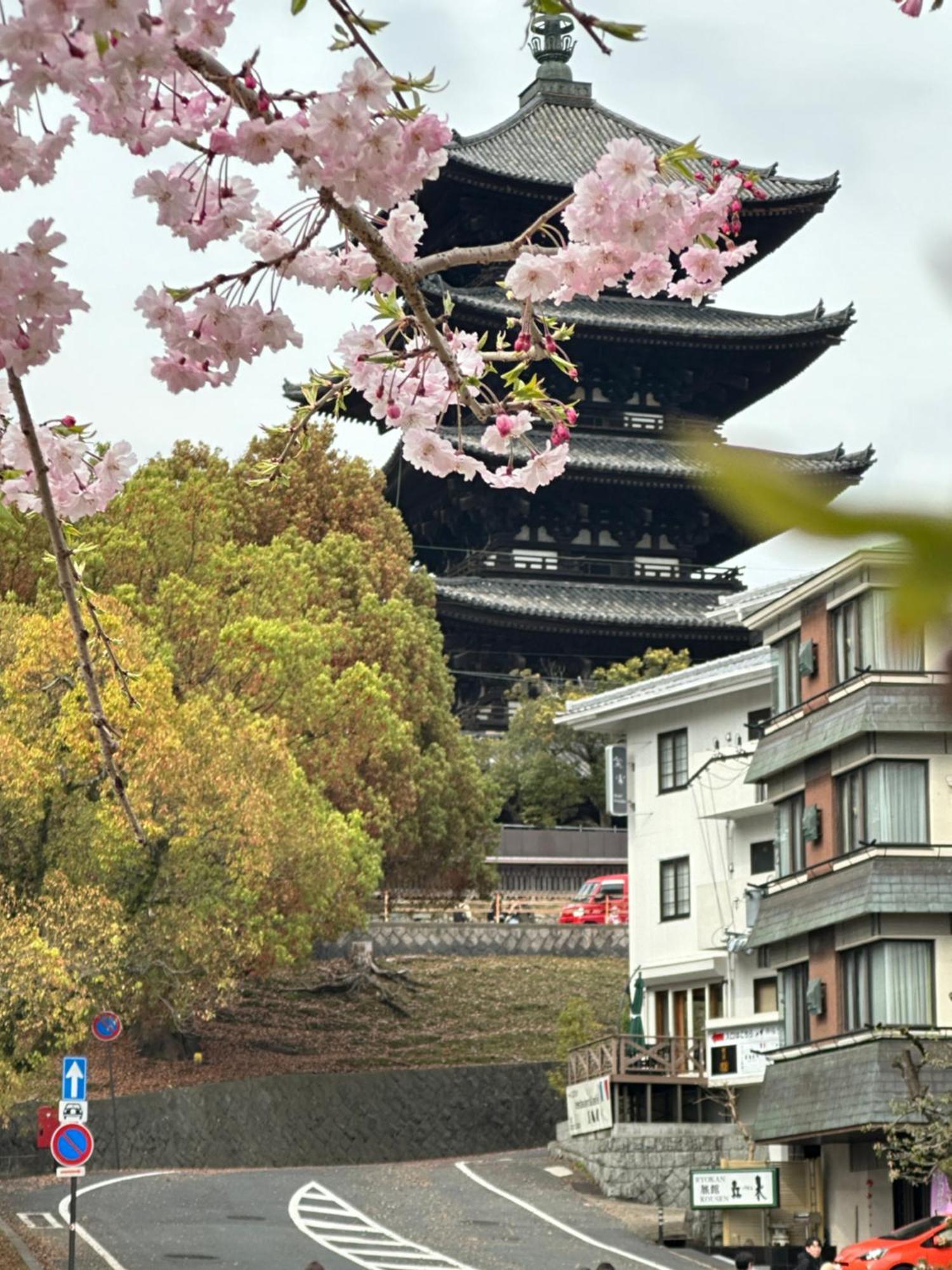 Ryokan Kousen Kazeya Group Нара Экстерьер фото