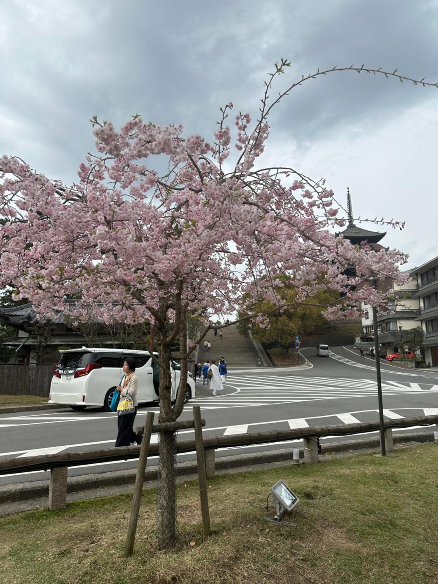 Ryokan Kousen Kazeya Group Нара Экстерьер фото